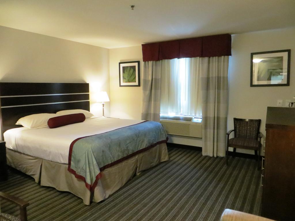 Super 8 By Wyndham Saskatoon Near Downtown Hotell Exteriör bild