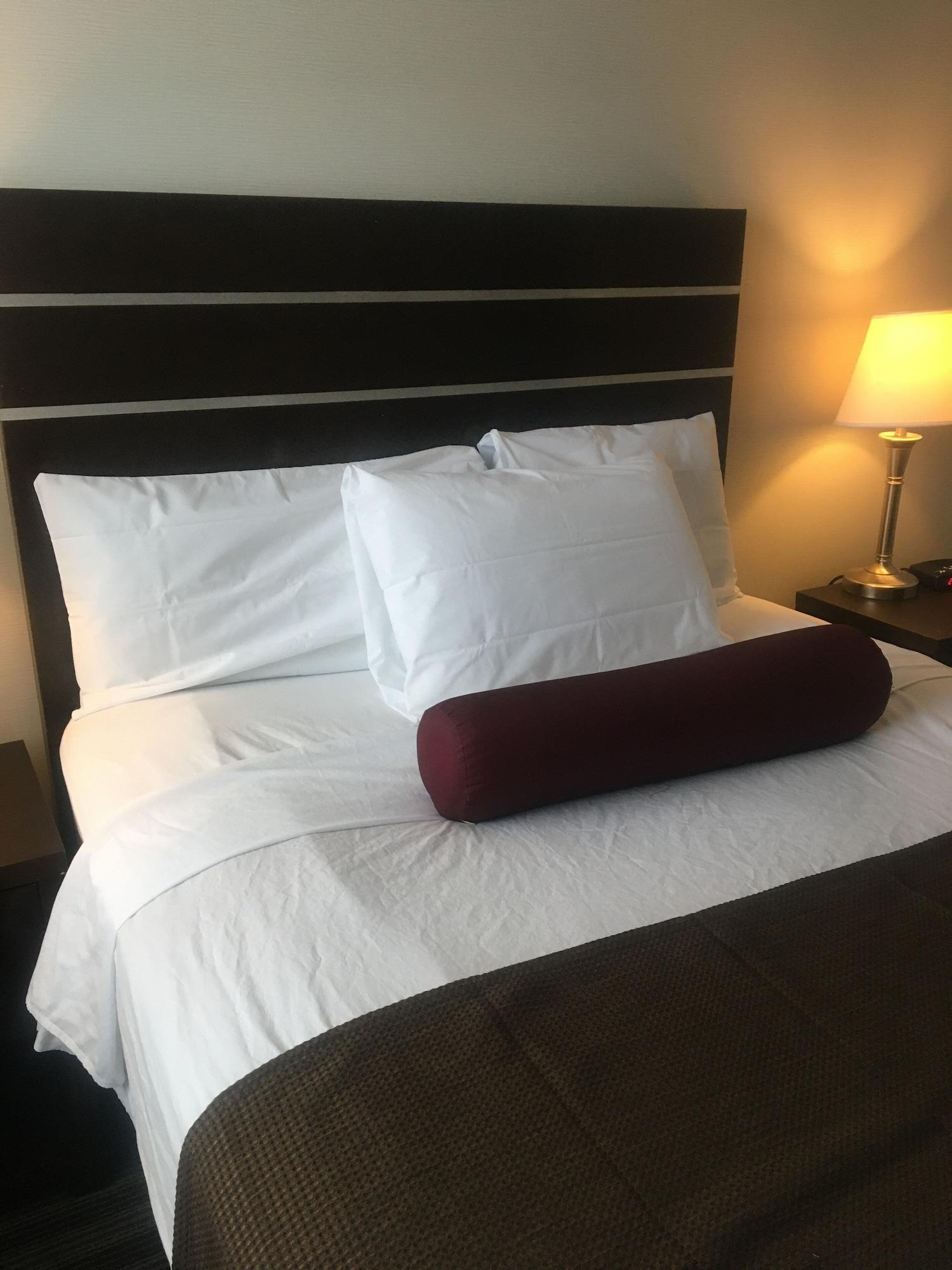 Super 8 By Wyndham Saskatoon Near Downtown Hotell Exteriör bild